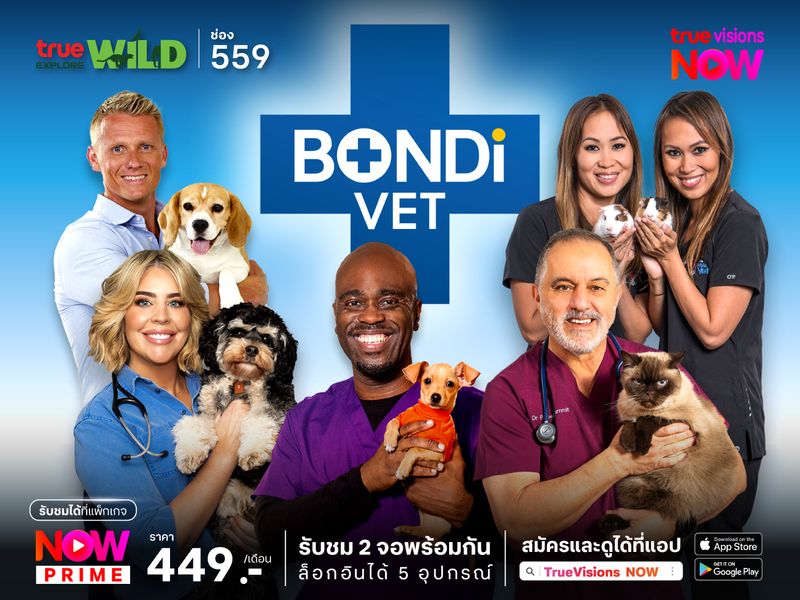 Bondi Vet S13