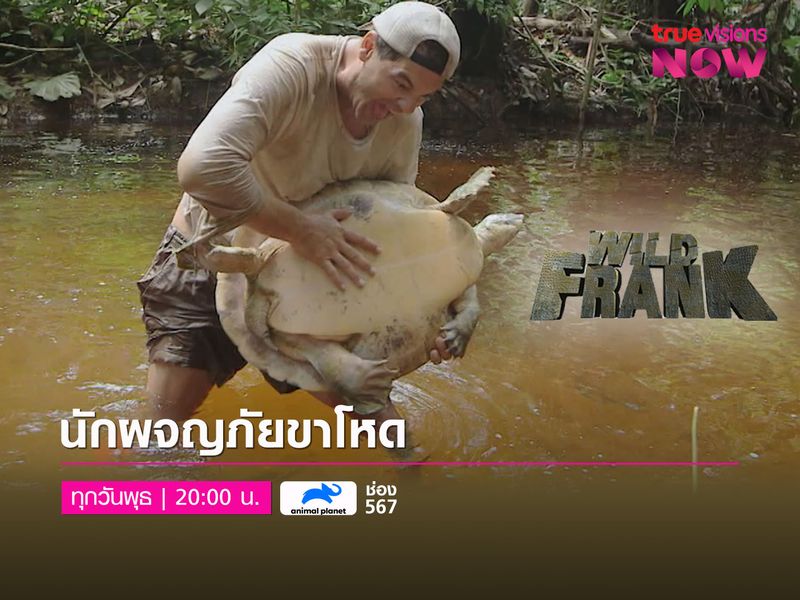 WILD FRANK นักผจญภัยขาโหด