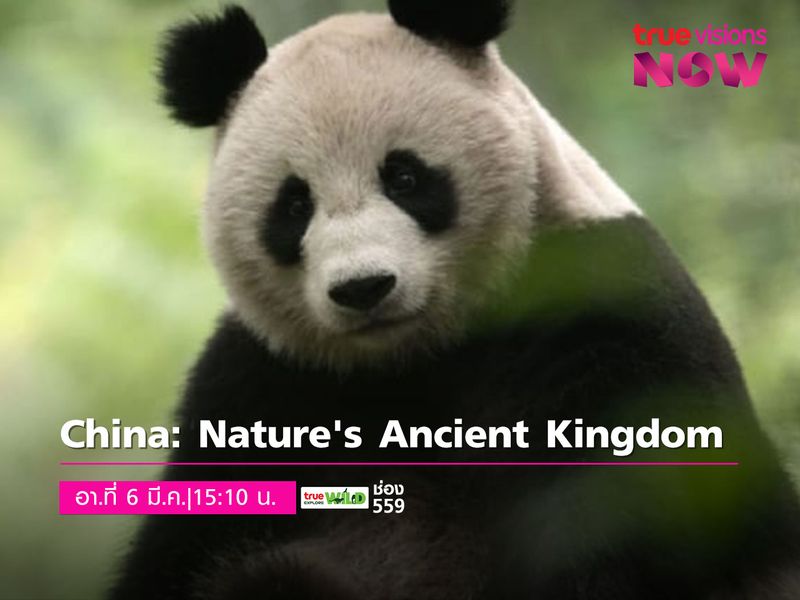 China: Nature's Ancient Kingdom