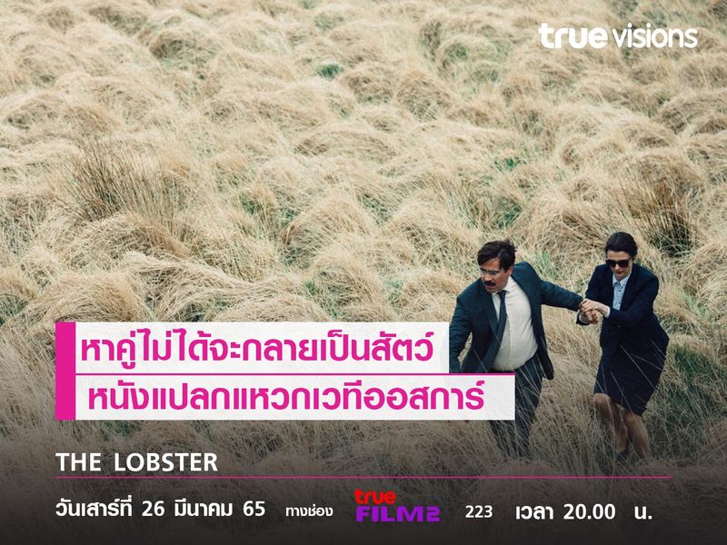 หาคู่ไม่ได้จะกลายเป็นสัตว์ หนังแปลกแหวกเวทีออสการ์ "THE LOBSTER" 