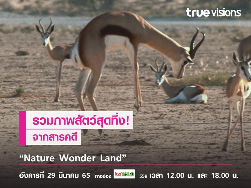 รวมภาพสัตว์สุดทึ่ง! จากสารคดี “Nature Wonder Land”