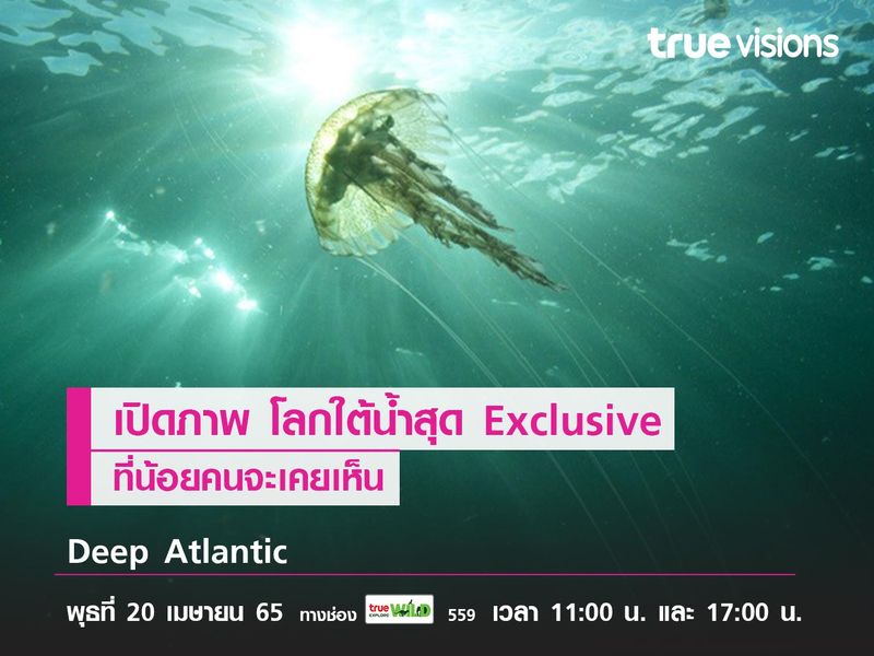 เปิดภาพ โลกใต้น้ำที่น้อยคนจะเคยเห็น! จากสารคดี "Deep Atlantic"