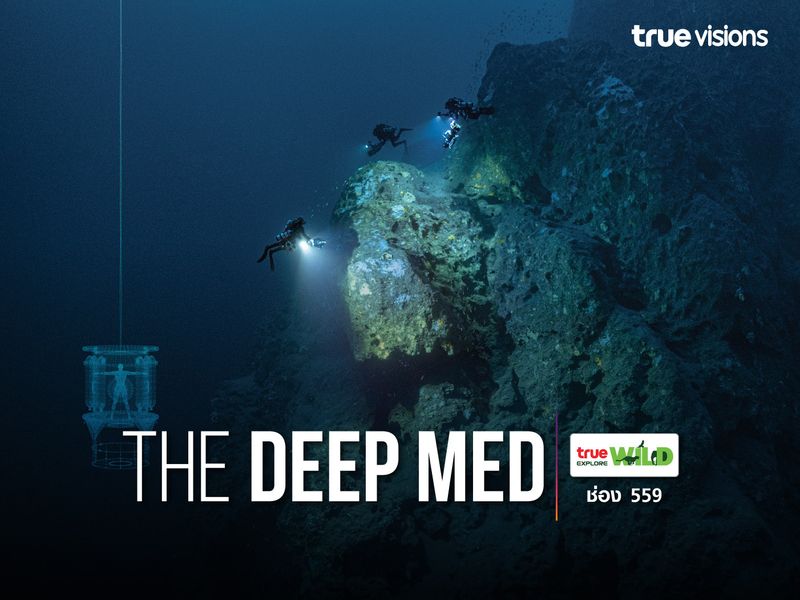 The Deep Med