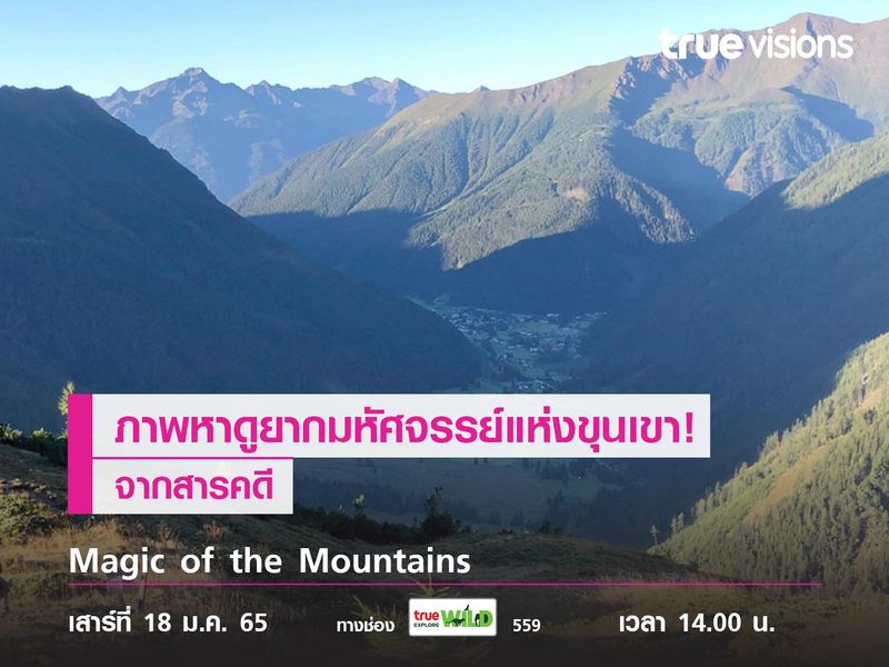 ส่องภาพหาดูยากมหัศจรรย์แห่งขุนเขา! จากสารคดี Magic of the Mountains