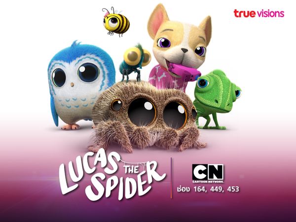 Lucas the Spider