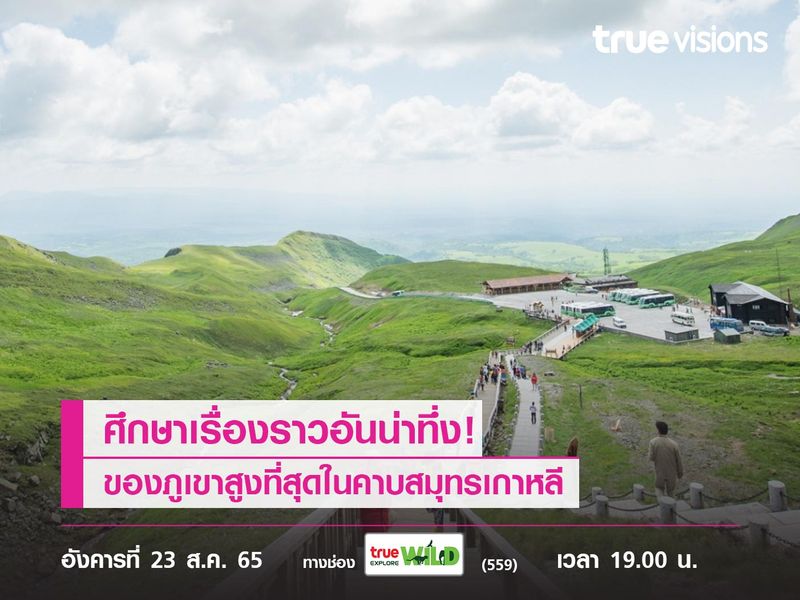 ศึกษาเรื่องราวอันน่าทึ่ง! ของภูเขาสูงที่สุดในคาบสมุทรเกาหลี ไปกับ "Mountain Between Borders"