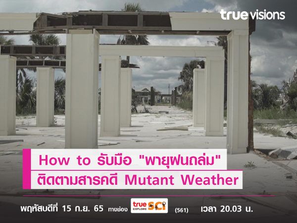 How to รับมือ "พายุฝนถล่ม"