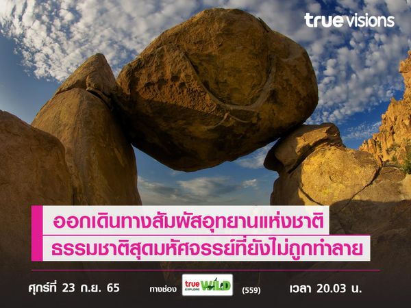 ออกเดินทางสัมผัสอุทยานแห่งชาติ ธรรมชาติสุดมหัศจรรย์ที่ยังไม่ถูกทำลาย ในสารคดี "Big Bend - America's Wildest Frontier"