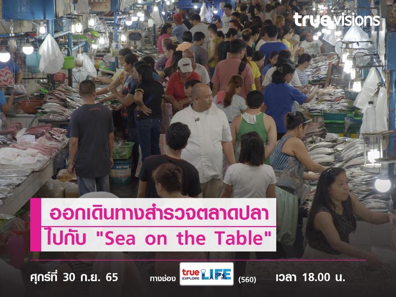 ออกเดินทางสำรวจตลาดปลาไปกับ "Sea on the Table"