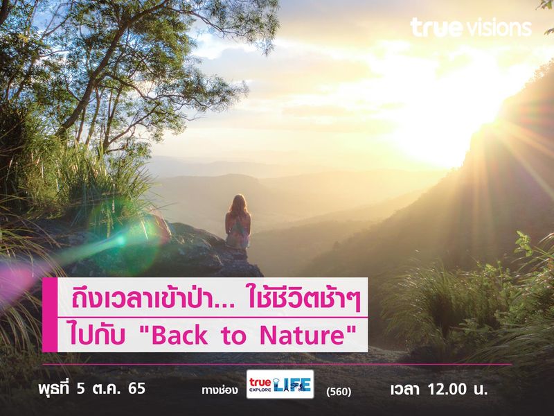 ถึงเวลาเข้าป่า... ใช้ชีวิตช้าๆ ไปกับ "Back to Nature"