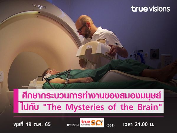 ศึกษากระบวนการทำงานของสมองมนุษย์สุดซับซ้อนไปกับ "The Mysteries of the Brain"