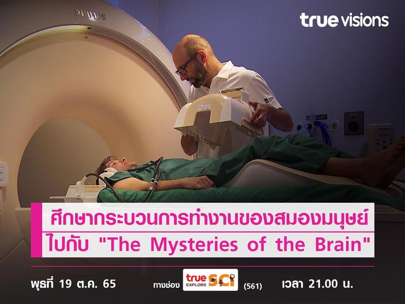 ศึกษากระบวนการทำงานของสมองมนุษย์สุดซับซ้อนไปกับ "The Mysteries of the Brain"