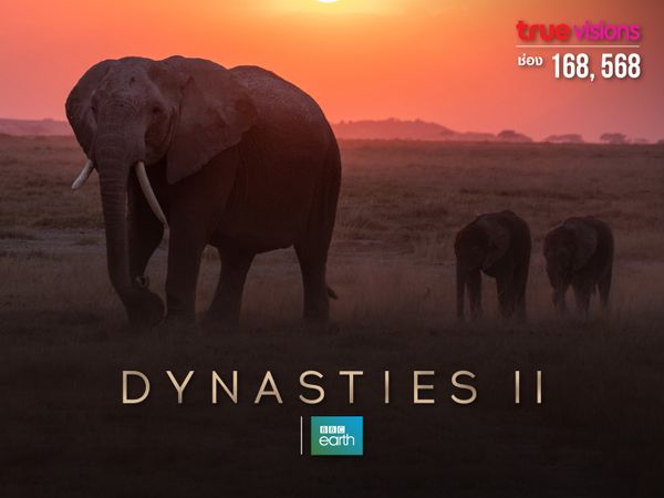 Dynasties II