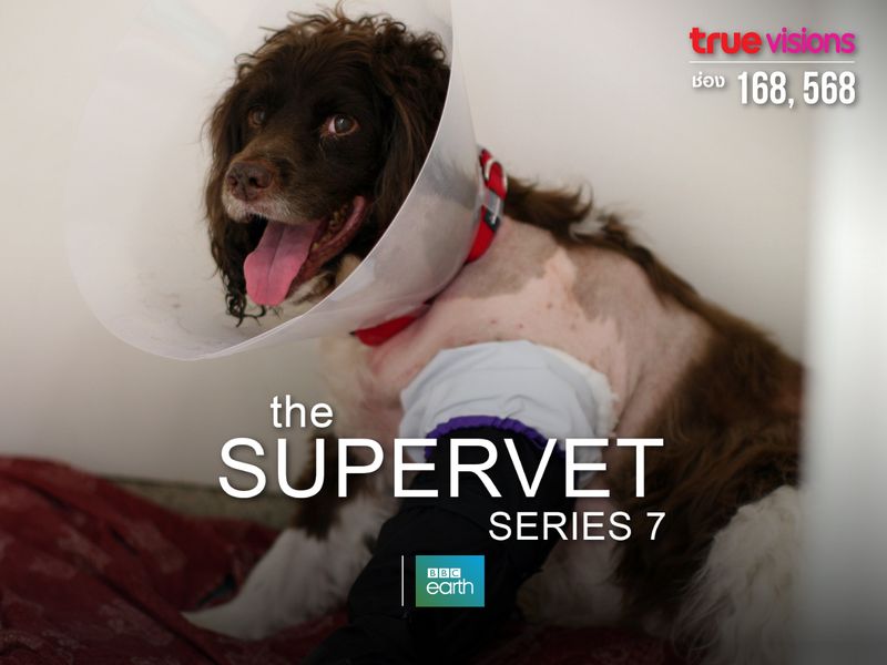 The Supervet S7