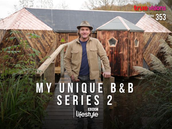 My Unique B&B Series 2