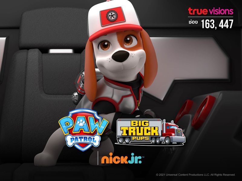 PAW Patrol : Big Truck Pups Stop a Flood